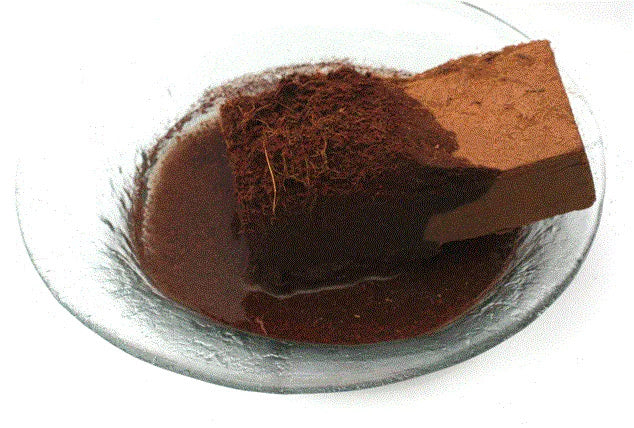 Terra mágica fibra de coco