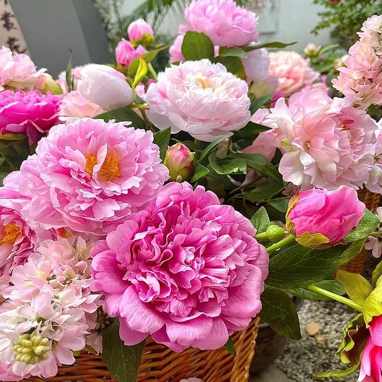 Flor - Rainha das Flores