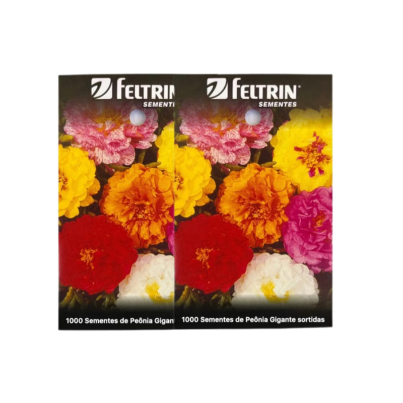 Flor - Rainha das Flores
